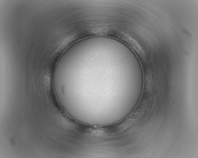 X0000115360113200911171401