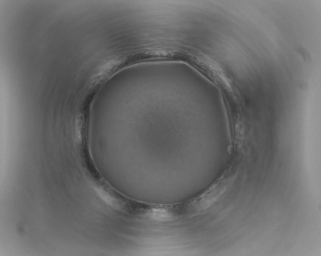 X0000115360114200911171401