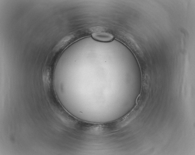 X0000115360116200911171401