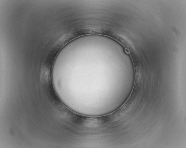 X0000115360123200911171401