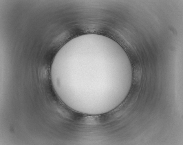X0000115360126200911171401