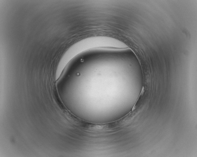 X0000115360129200911171401