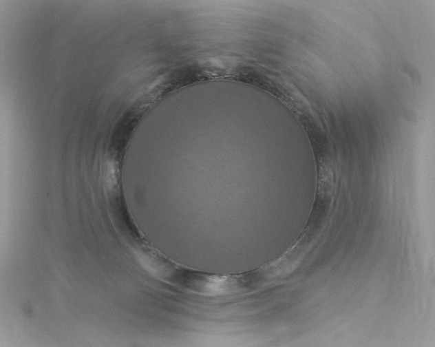 X0000115360130200911171401