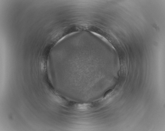 X0000115360134200911171401