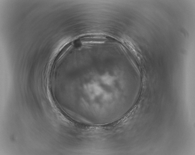 X0000115360145200911171400
