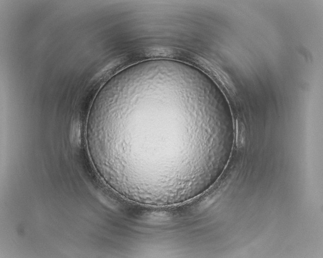 X0000115360157200911171400