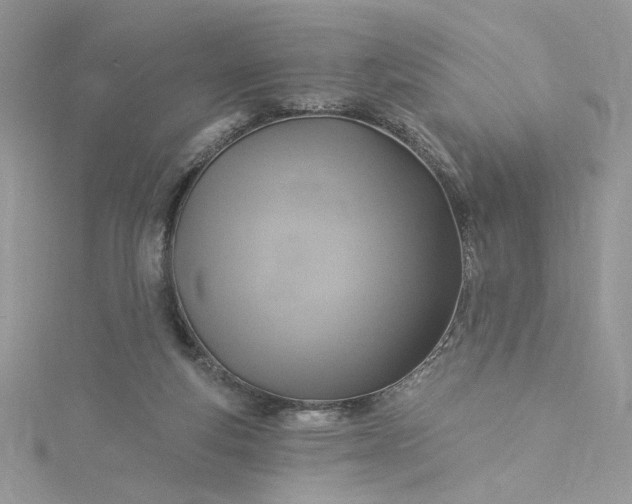 X0000115360163200911171400