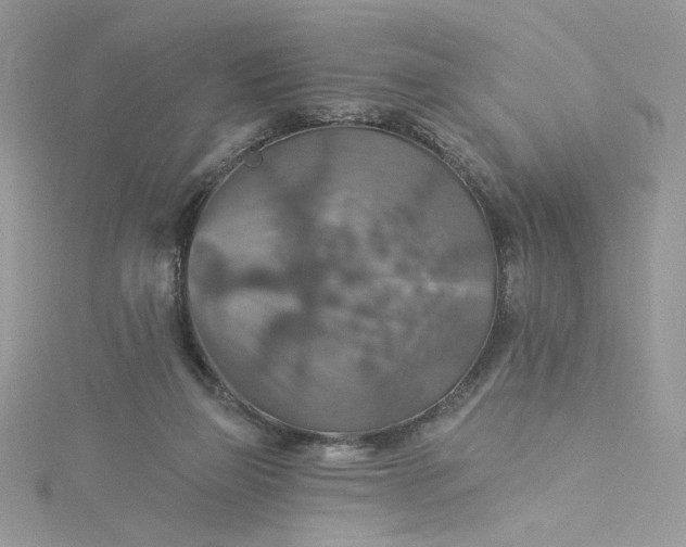 X0000115360165200911171400