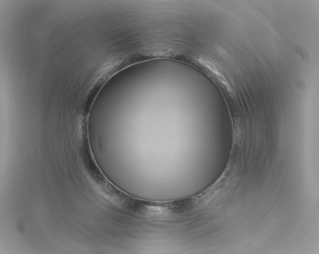 X0000115360167200911171400