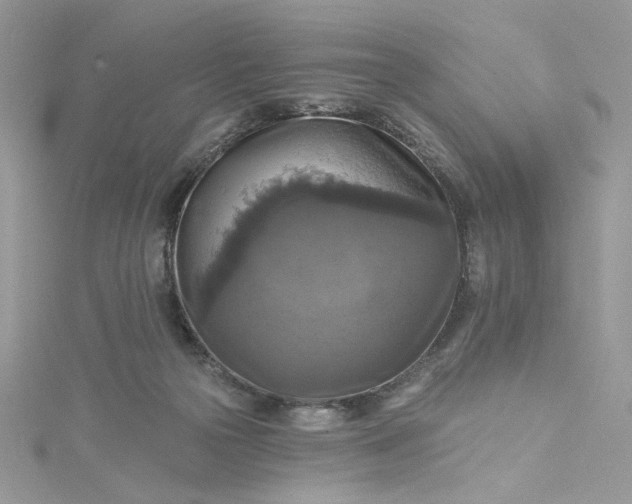 X0000115360169200911171400