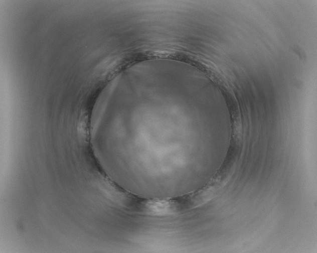 X0000115360181200911171400