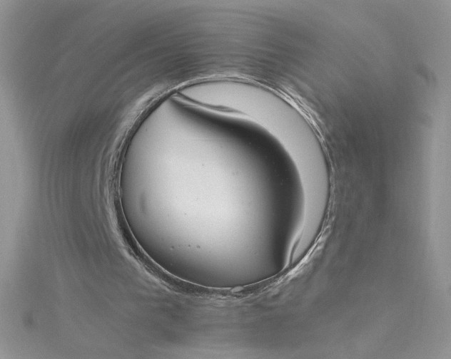 X0000115360193200911171400
