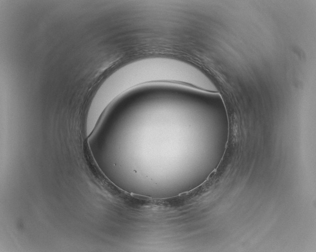 X0000115360211200911171359