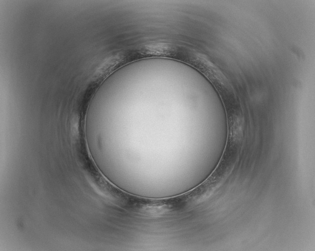 X0000115360213200911171359