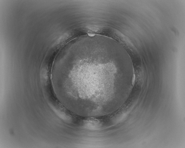 X0000115360215200911171359
