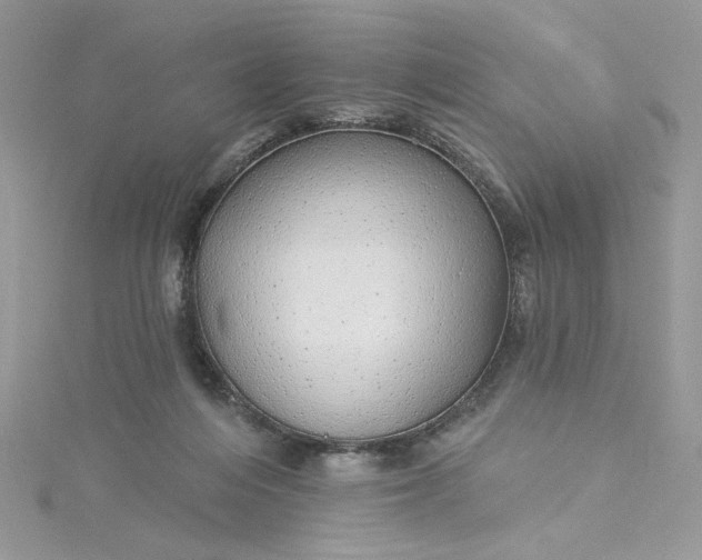 X0000115360216200911171359