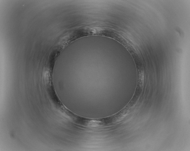 X0000115360222200911171359