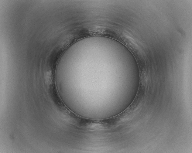 X0000115360224200911171359