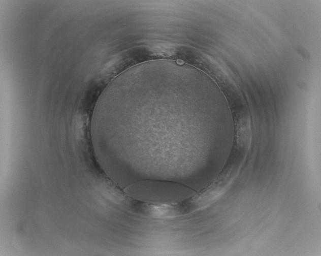 X0000115360229200911171359