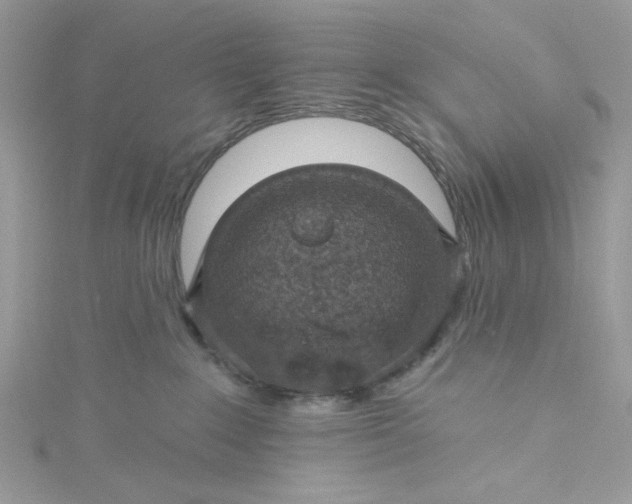 X0000115360235200911171359