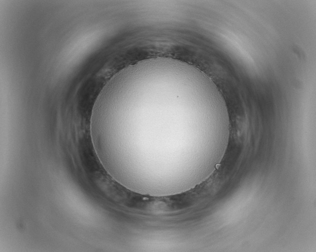 X0000115360236200911171359