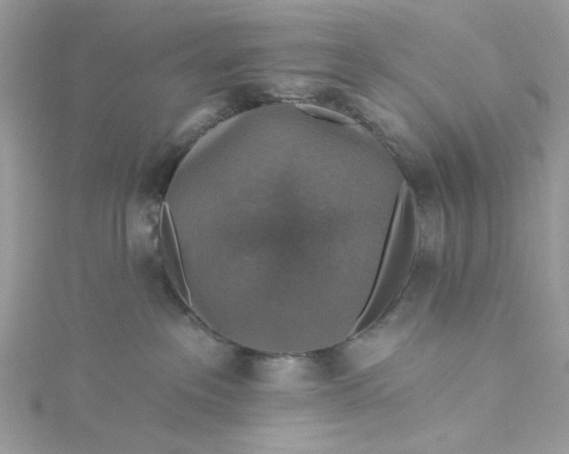 X0000115360237200911171359