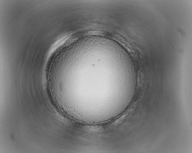 X0000115360245200911171359