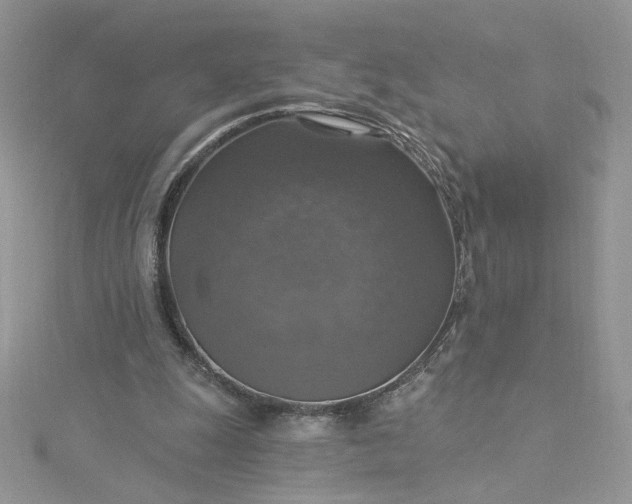 X0000115360247200911171359