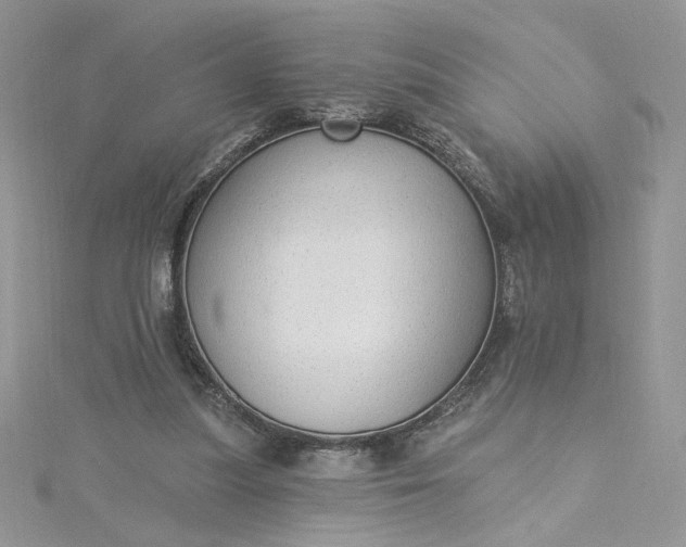 X0000115360251200911171359
