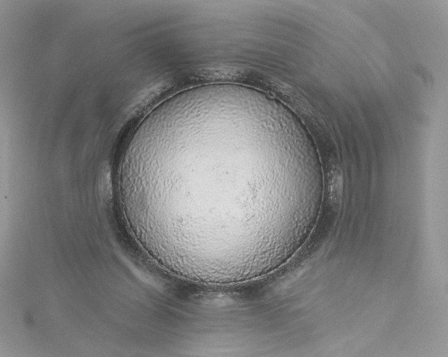 X0000115360254200911171359