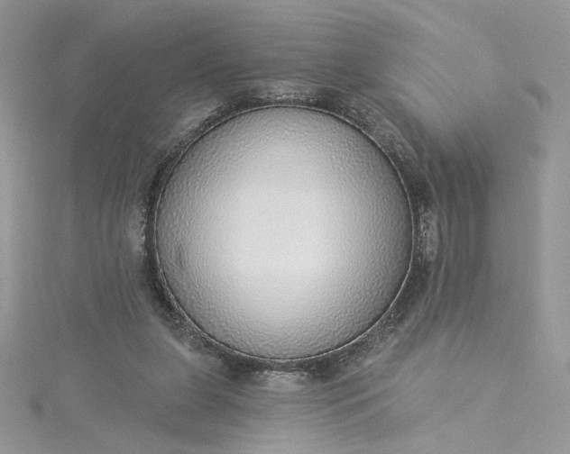 X0000115360255200911171359