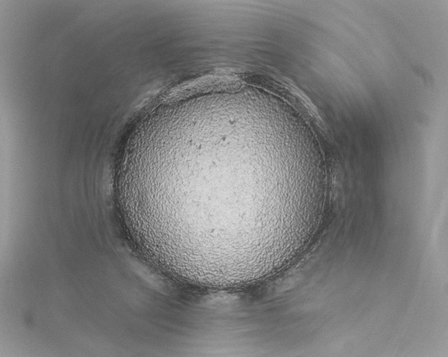 X0000115360257200911171359