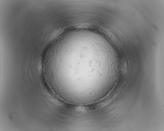 X0000115360261200911171359