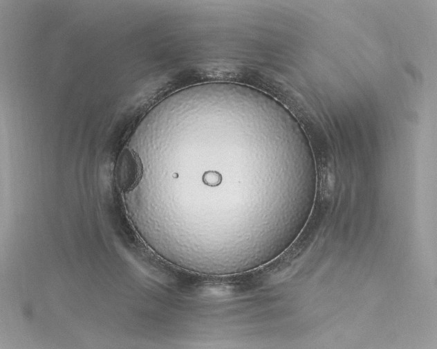 X0000115360263200911171359