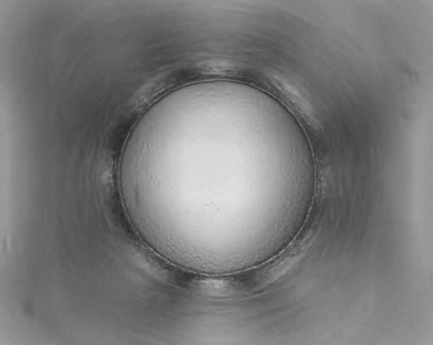 X0000115360265200911171359