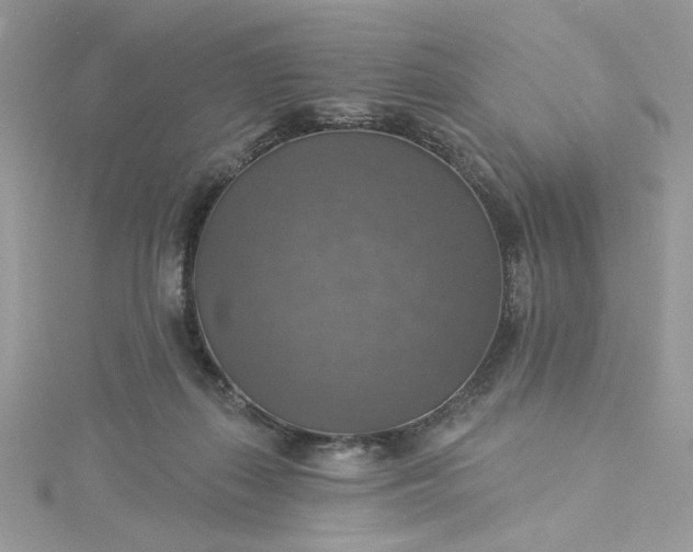 X0000115360267200911171359