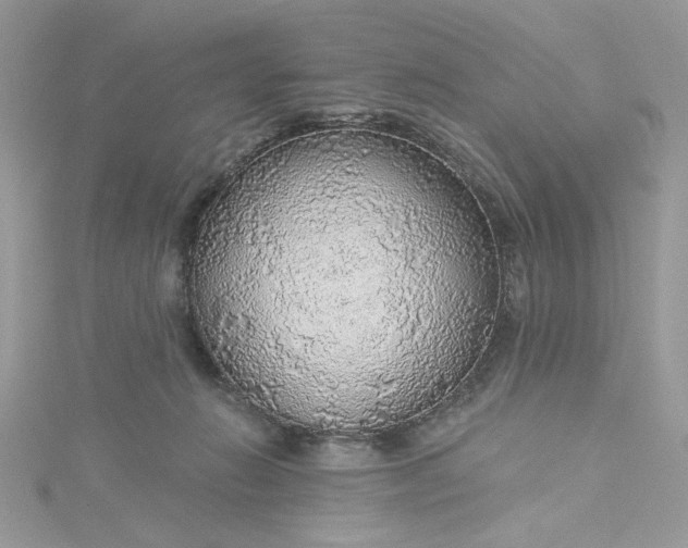 X0000115360270200911171359