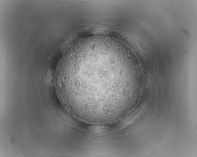 X0000115360273200911171359