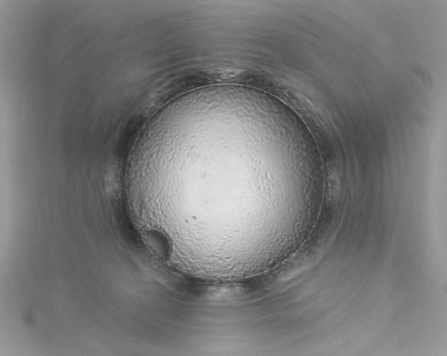 X0000115360274200911171359