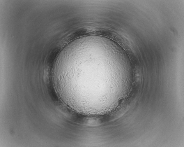 X0000115360275200911171359