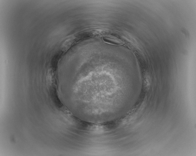 X0000115360276200911171359
