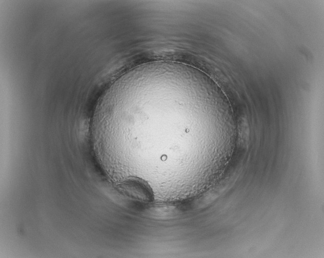 X0000115360278200911171359