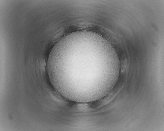 X0000115360279200911171359