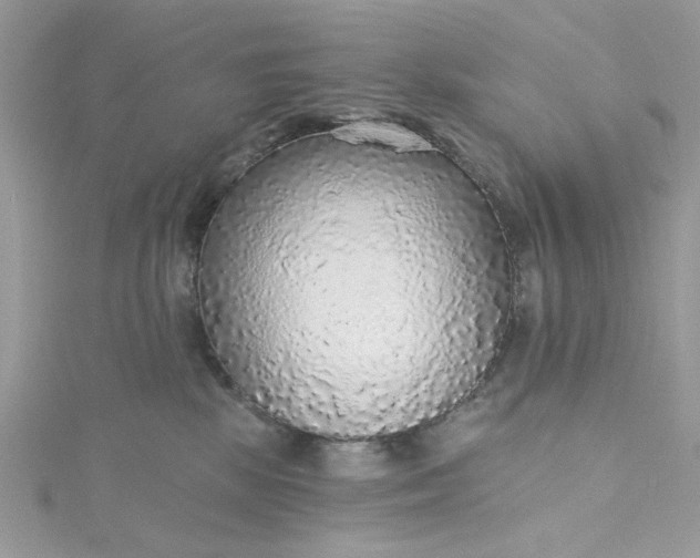 X0000115360281200911171359