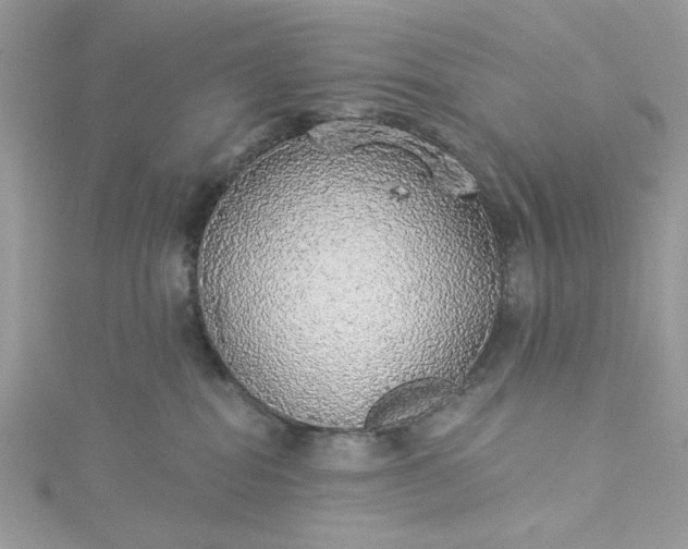 X0000115360282200911171359