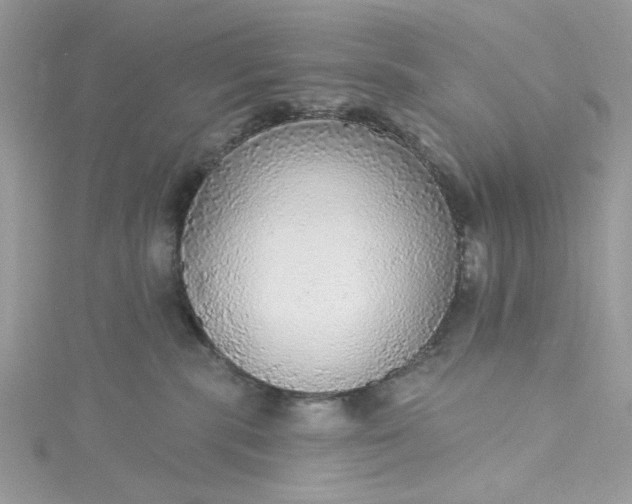 X0000115360283200911171359