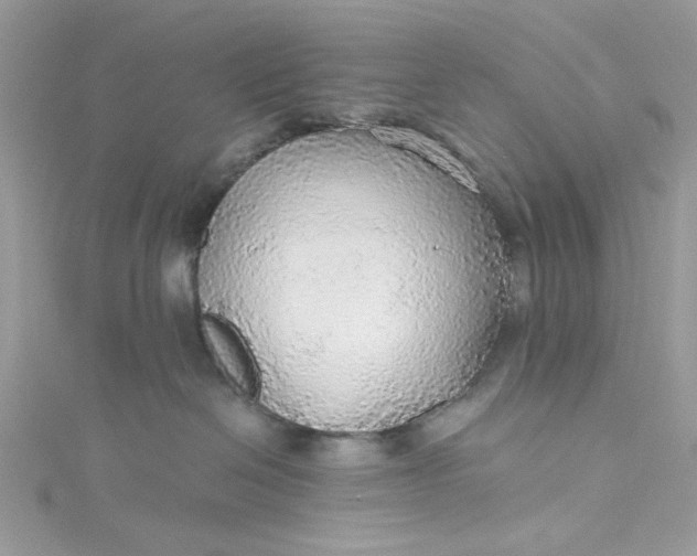 X0000115360286200911171359