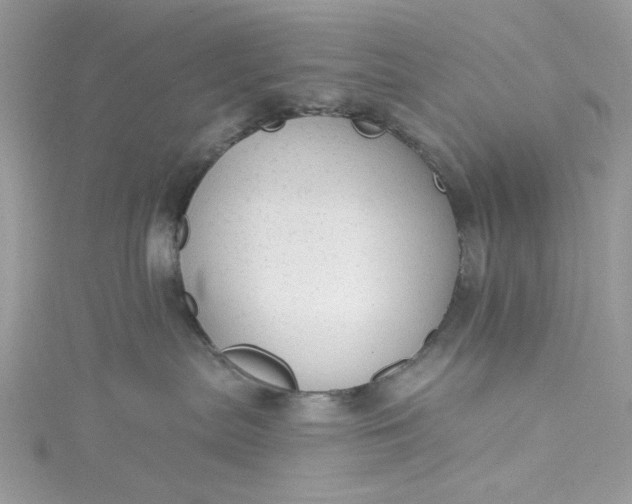 X0000115360287200911171359