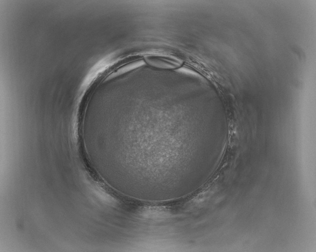X0000115360296200911171358