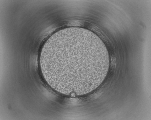 X0000115360302200911171358